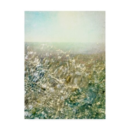 Trademark Fine Art Pam Ilosky 'Ocean Dream I' Canvas Art, 14x19 WAG00363-C1419GG